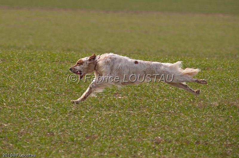 20100317-FLS_6398.jpg