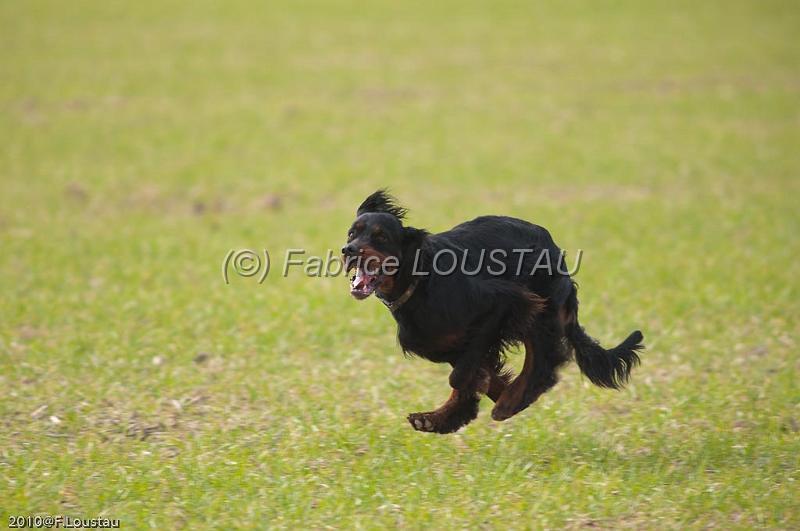 20100317-FLS_6554.jpg