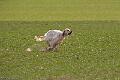20100317-FLS_6325
