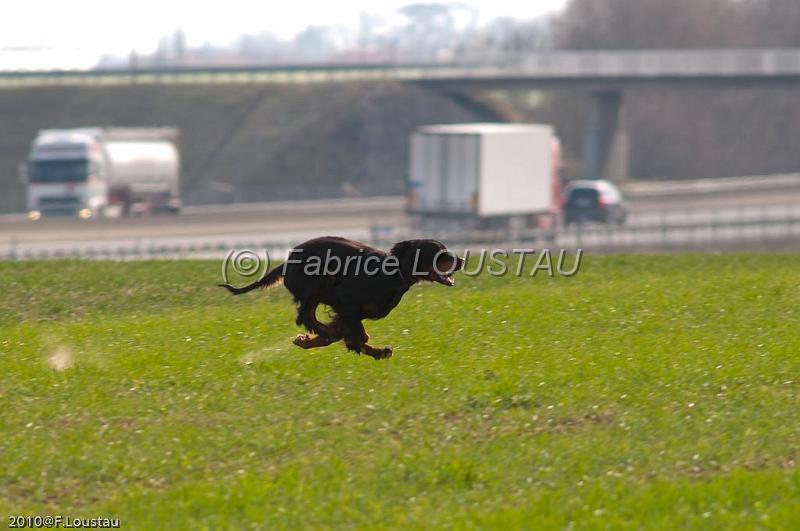 20100318-FLS_6787.jpg