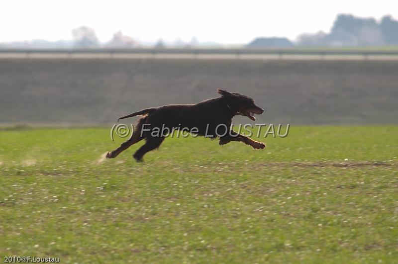 20100318-FLS_6791.jpg