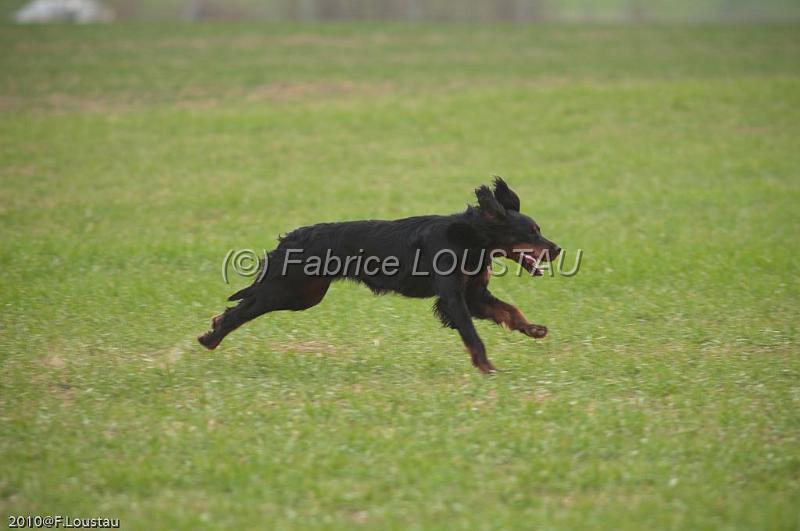 20100318-FLS_6998.jpg