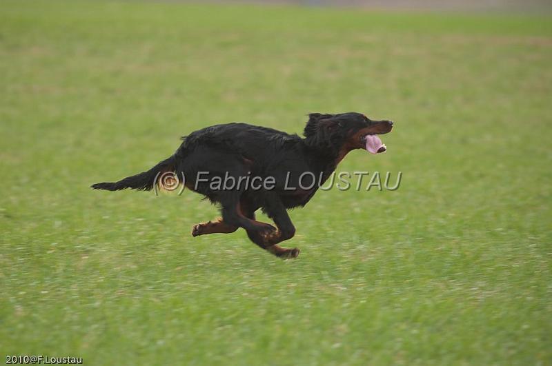 20100318-FLS_7005.jpg
