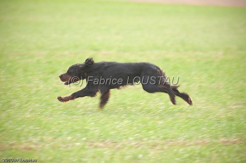 20100318-FLS_7020.jpg