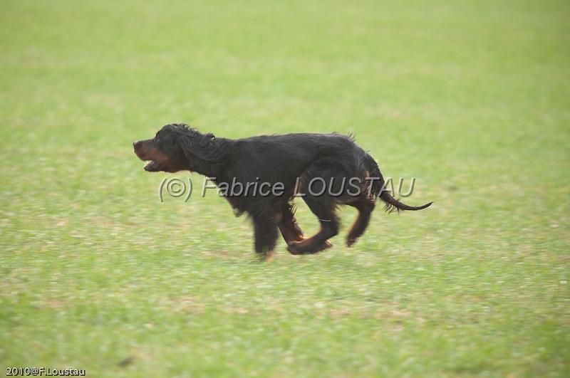 20100318-FLS_7021.jpg