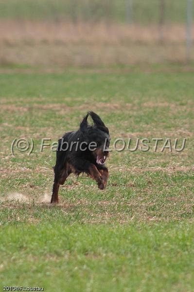 20100318-FLS_7033.jpg