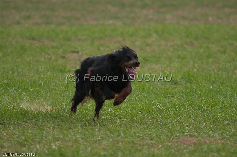 20100318-FLS_7043.jpg
