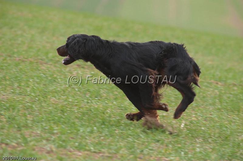 20100318-FLS_7259.jpg