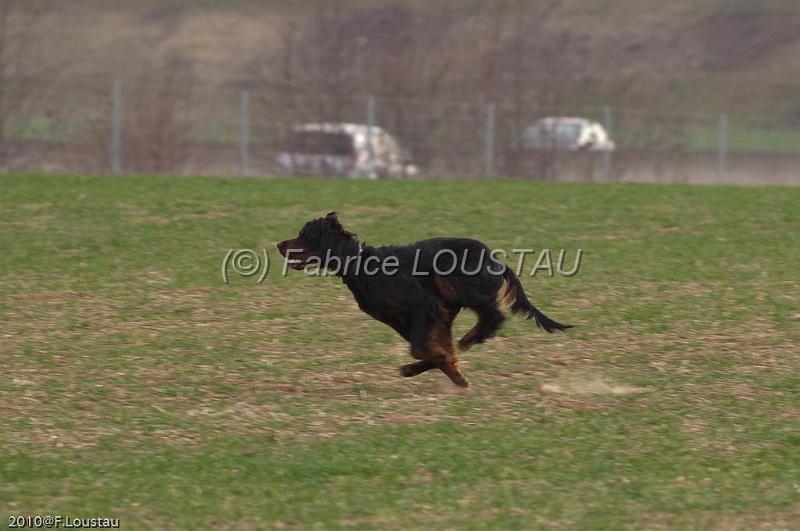 20100318-FLS_7375.jpg