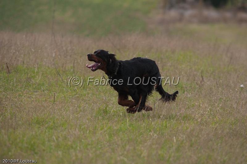 20100319-FLS_7441.jpg