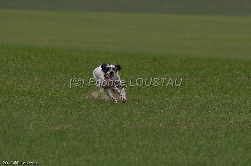 20100319-FLS_7468.jpg