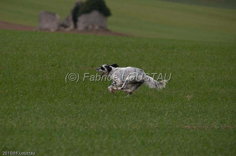 20100319-FLS_7475.jpg
