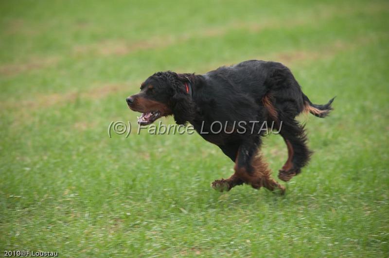 20100319-FLS_7495.jpg