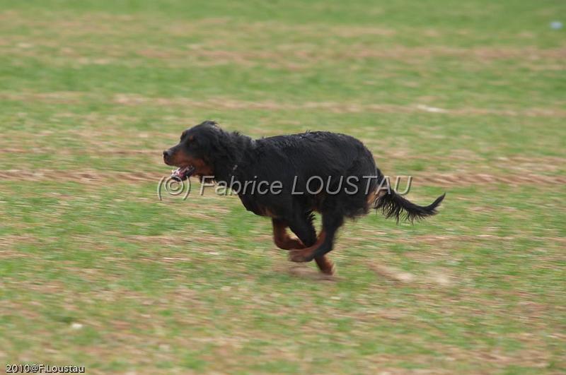 20100319-FLS_7537.jpg