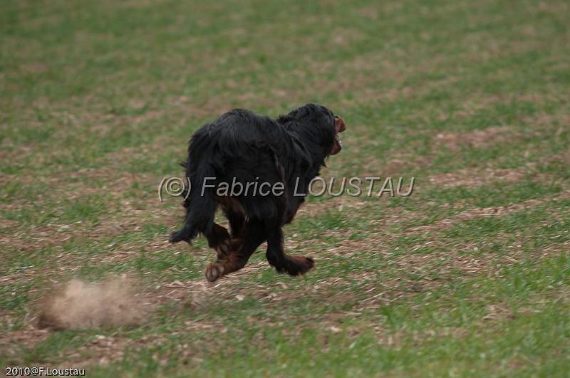 20100319-FLS_7569.jpg