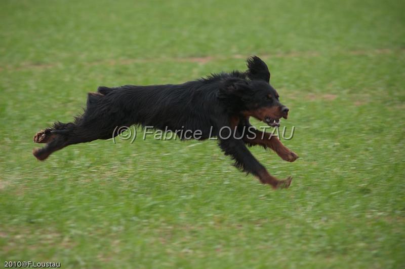 20100319-FLS_7586.jpg