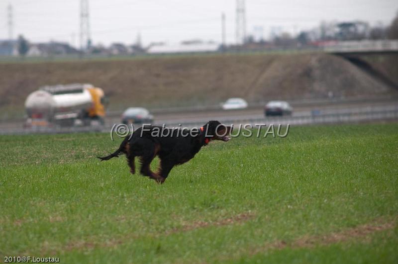 20100319-FLS_7619.jpg