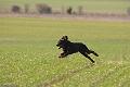 20100318-FLS_6643