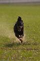 20100318-FLS_6653