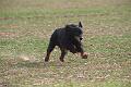 20100318-FLS_6767