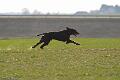 20100318-FLS_6791