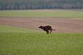 20100318-FLS_6889