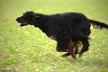 20100318-FLS_6915