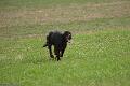 20100318-FLS_7038