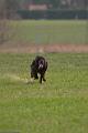 20100318-FLS_7073