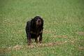 20100318-FLS_7288