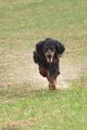 20100318-FLS_7358