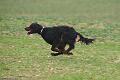 20100319-FLS_7452