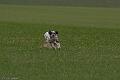 20100319-FLS_7468