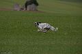 20100319-FLS_7475