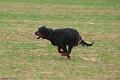 20100319-FLS_7537