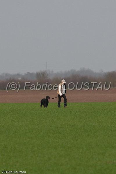 20100321-FLS_7834.jpg