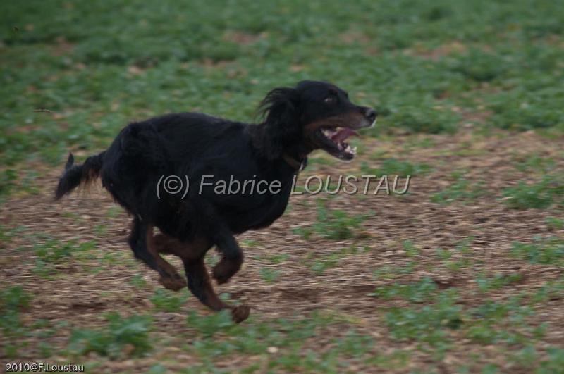 20100321-FLS_7911.jpg