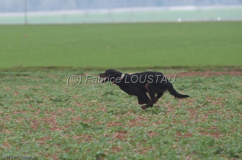 20100321-FLS_7936.jpg