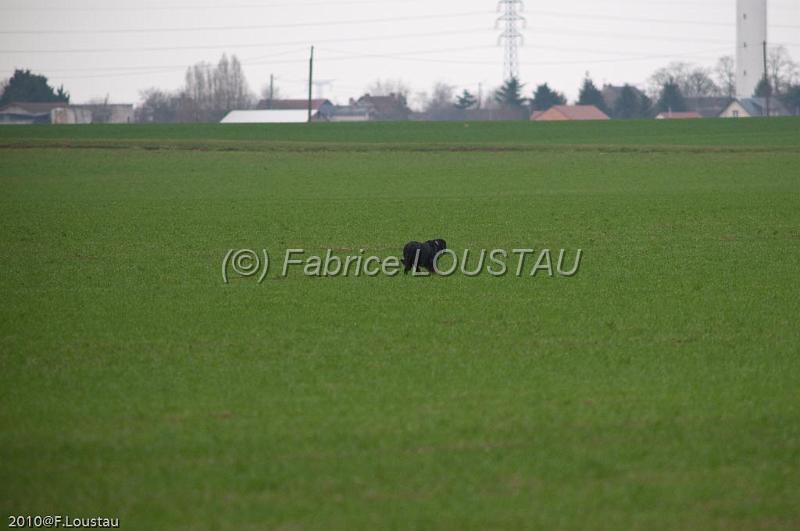 20100321-FLS_8014.jpg