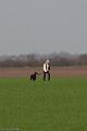 20100321-FLS_7834
