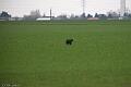 20100321-FLS_8014