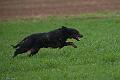 20100321-FLS_8040
