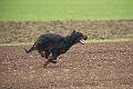 20100321-FLS_8095