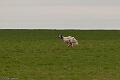 20100325-FLS_8398