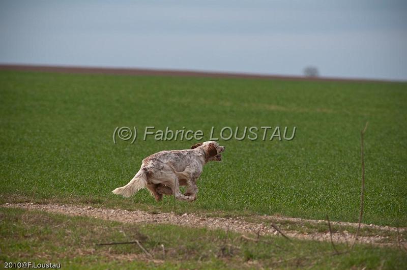 20100325-FLS_8303.jpg