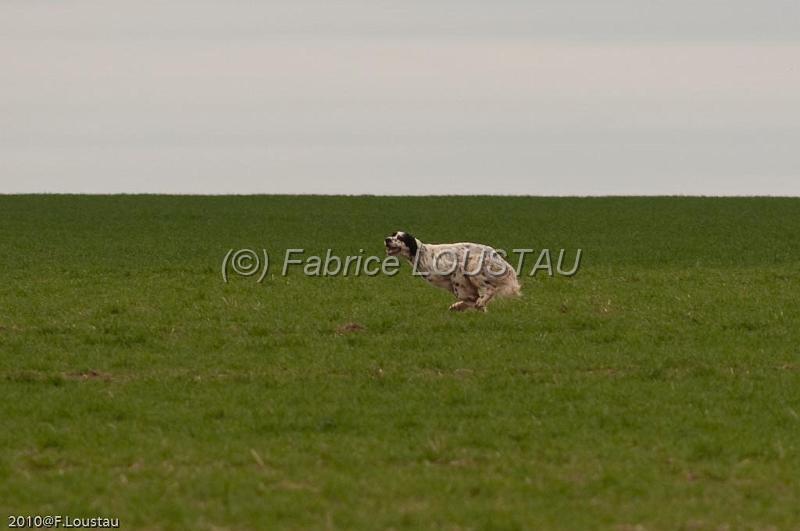 20100325-FLS_8398.jpg