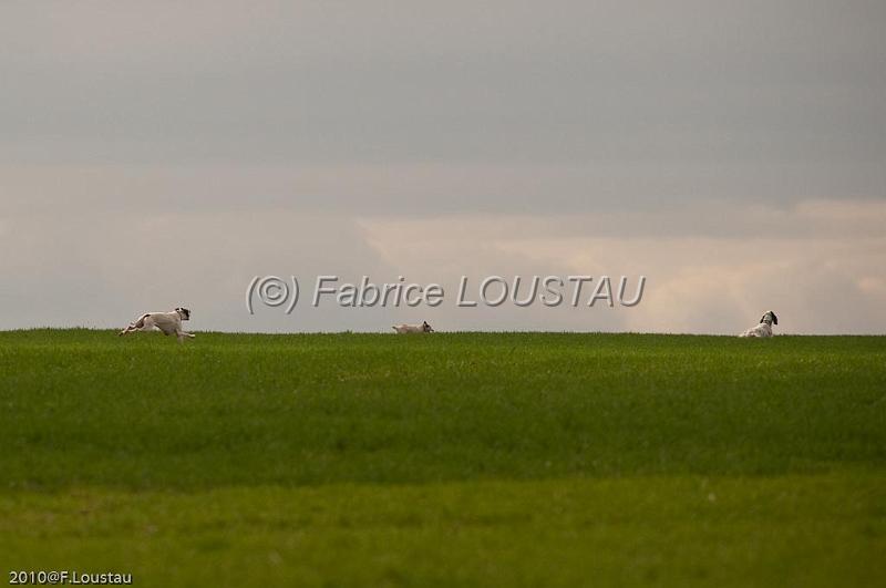 20100325-FLS_8438.jpg