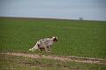 20100325-FLS_8303