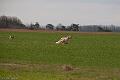 20100325-FLS_8316