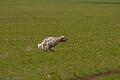 20100325-FLS_8337